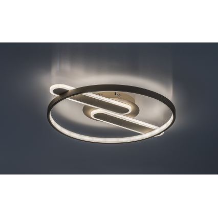 Rabalux - LED таванен плафон с функция за димиране LED/55W/230V 3000-6000K 53x45 cm + дистанционно управление