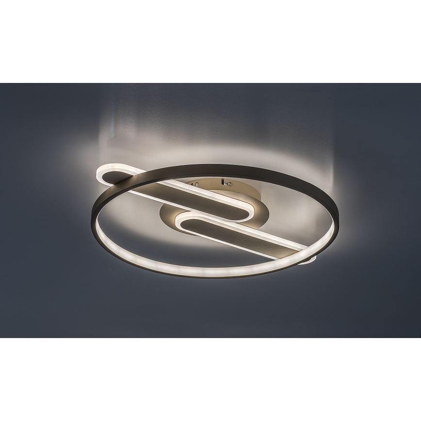 Rabalux - LED таванен плафон с функция за димиране LED/55W/230V 3000-6000K 53x45 cm + дистанционно управление
