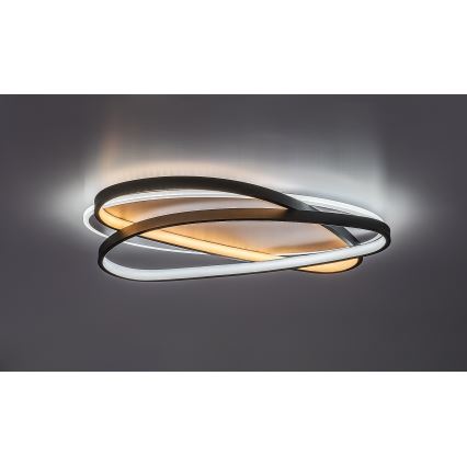 Rabalux - LED таванно осветително тяло с регулируема яркост LED/57W/230V 3000-6000K 53x38 cm + дистанционно управление