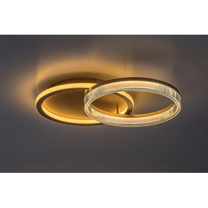 Rabalux - LED Димируемо таванно осветително тяло LED/22W/230V 3000-6500K 53,5x35 cm + дистанционно управление
