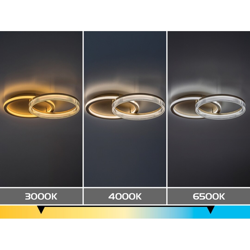 Rabalux - LED Димируемо таванно осветително тяло LED/22W/230V 3000-6500K 53,5x35 cm + дистанционно управление