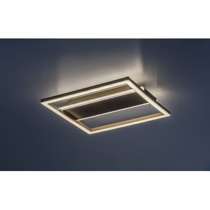 Rabalux - LED таванно осветително тяло LED/24W/230V 33x33 cm