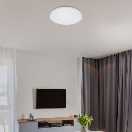 Rabalux - LED таванно осветително тяло LED/12W/230V 4000K Ø 25,5 см