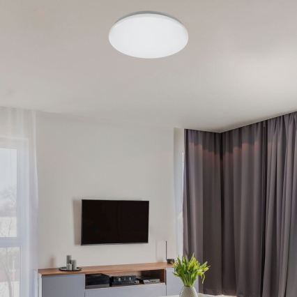 Rabalux - LED таванен плафон LED/24W/230V 4000K диаметър 37,5 см