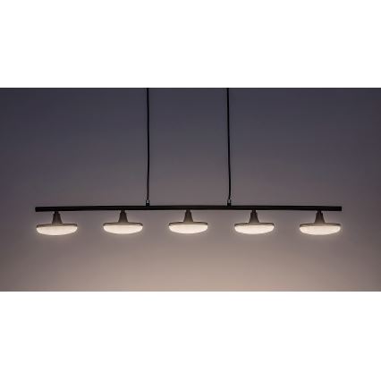Rabalux - LED Пендел 5xLED/4W/230V 3000K