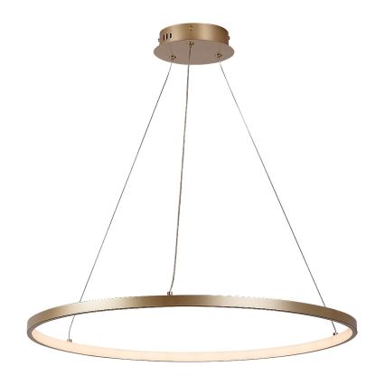 Rabalux - LED полилей на кабел LED/55W/230V 3000K