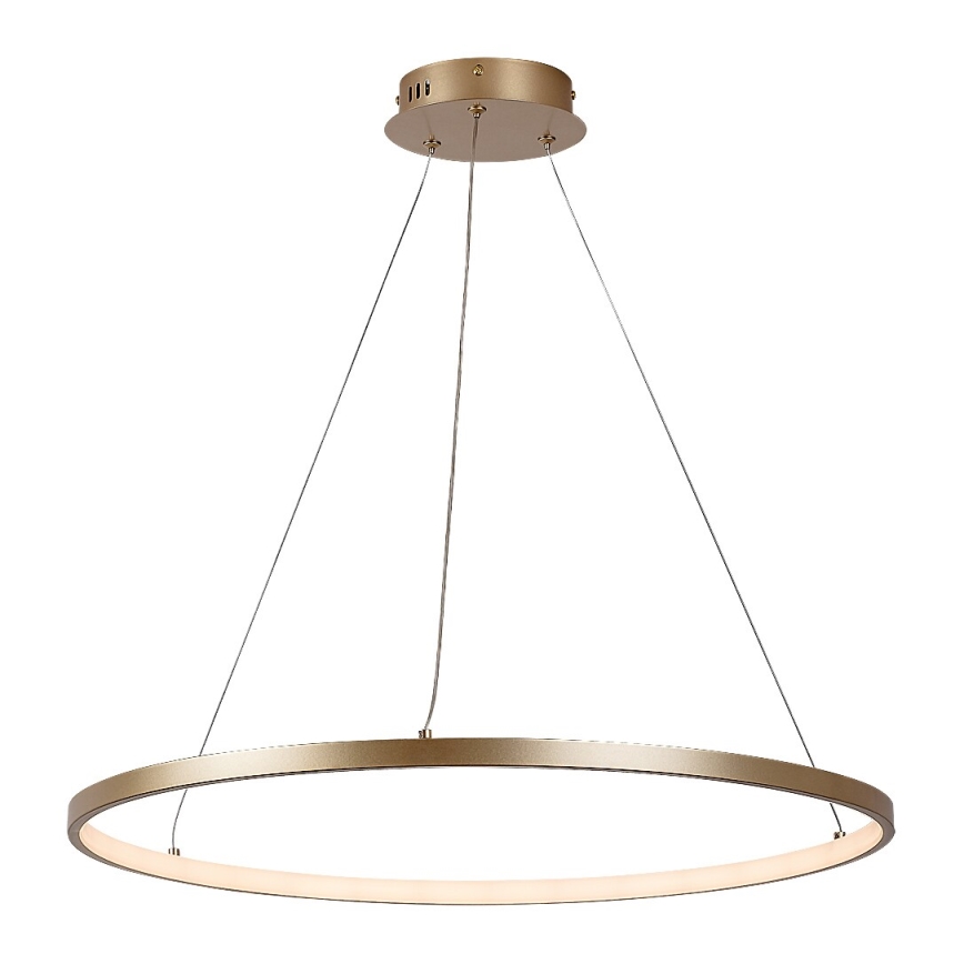 Rabalux - LED полилей на кабел LED/55W/230V 3000K