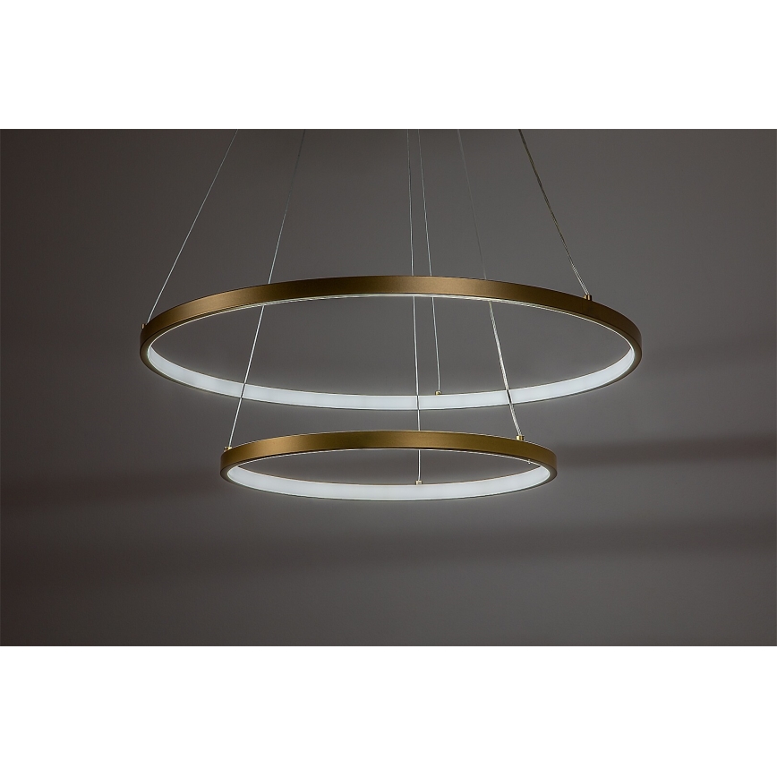 Rabalux - LED Полилей на кабел с възможност за димиране LED/75W/230V 3000-6500K + дистанционно управление