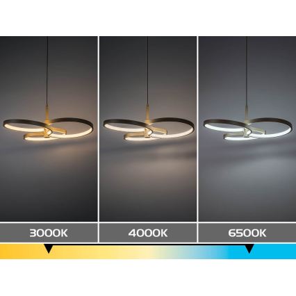 Rabalux - LED полилей на кабел с възможност за димиране LED/50W/230V 3000-6500K + дистанционно управление
