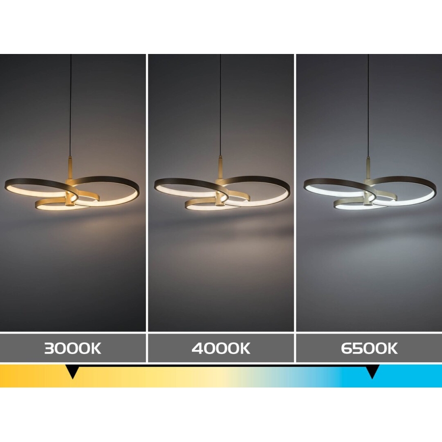 Rabalux - LED полилей на кабел с възможност за димиране LED/50W/230V 3000-6500K + дистанционно управление