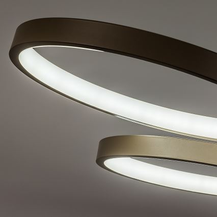 Rabalux - LED полилей на кабел с възможност за димиране LED/50W/230V 3000-6500K + дистанционно управление