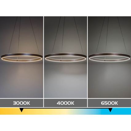Rabalux - LED димируем полилей на кабел LED/70W/230V 3000-6500K + дистанционно управление