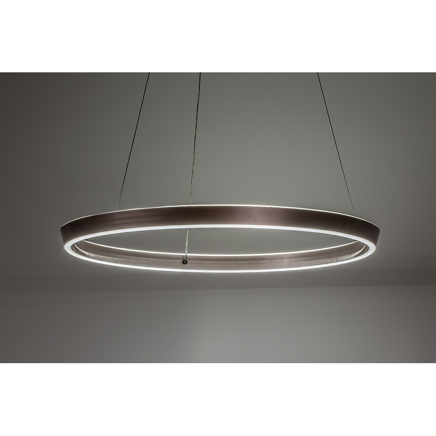Rabalux - Димируем LED полилей на кабел LED/36W/230V 3000-6500K + дистанционно управление