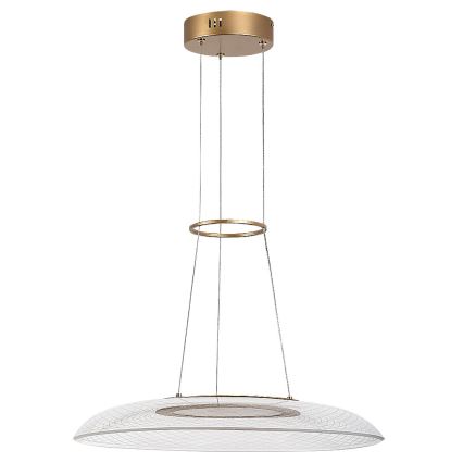Rabalux - LED полилей с кабелно окачване LED/24W/230V 3000K