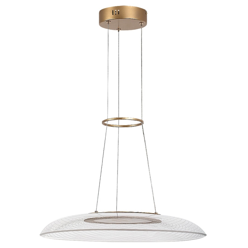 Rabalux - LED полилей с кабелно окачване LED/24W/230V 3000K