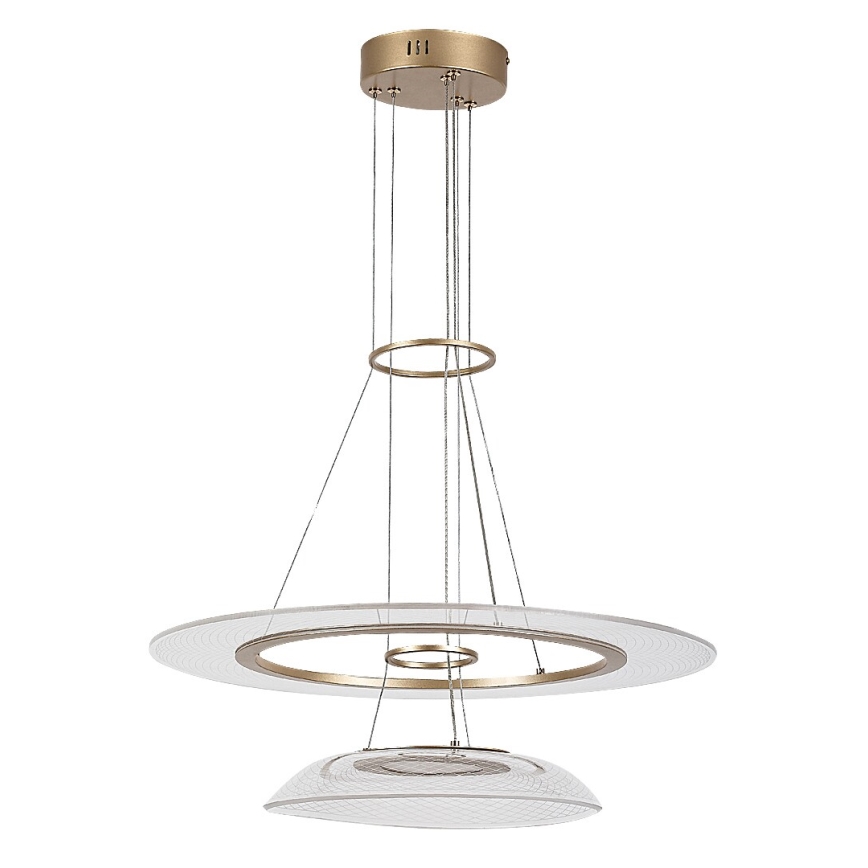 Rabalux - LED полилей на кабел LED/36W/230V 3000K