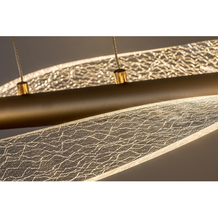 Rabalux - LED полилей на кабел LED/24W/230V 3000K