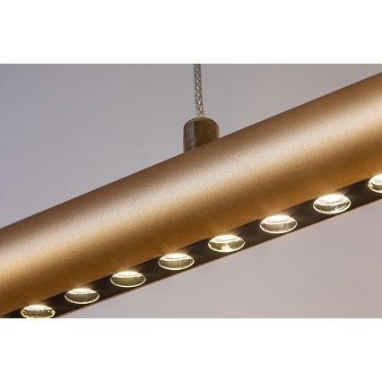 Rabalux - LED полилей на кабел LED/24W/230V 3000K