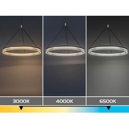Rabalux - LED полилей на кабел с регулиране на яркостта LED/24W/230V 3000-6500K + дистанционно управление
