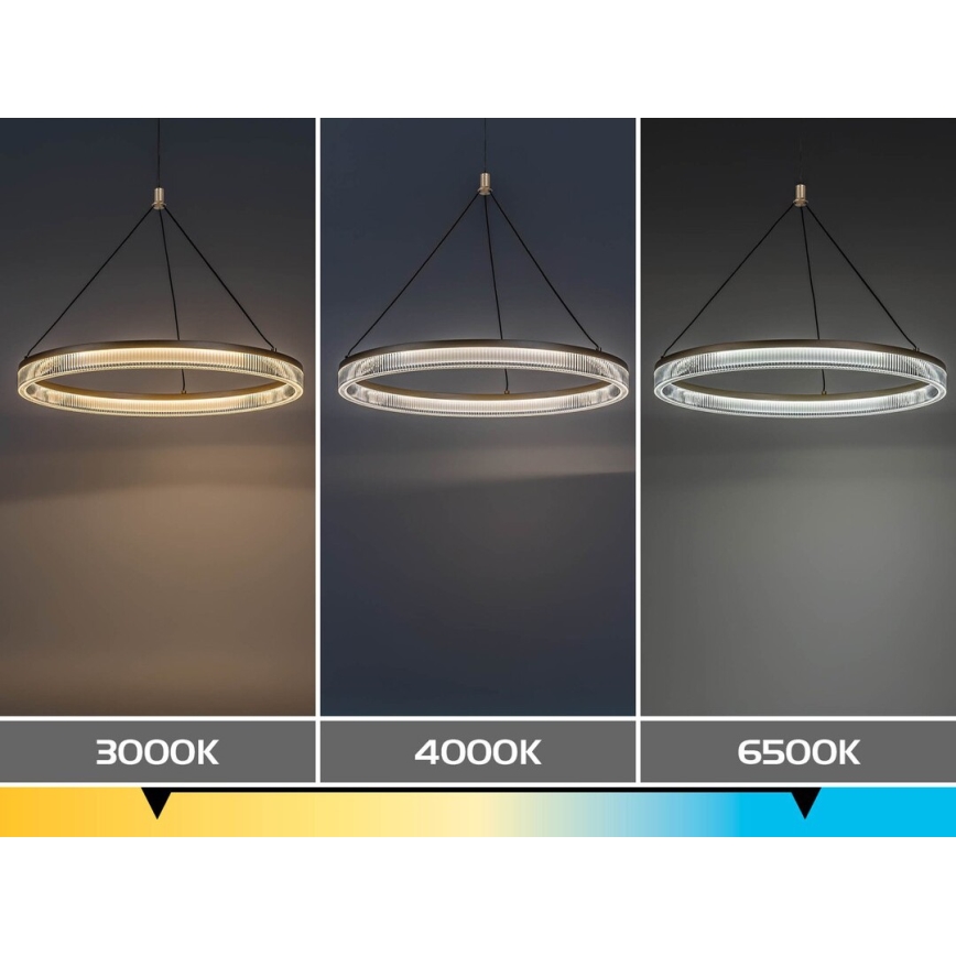 Rabalux - LED полилей на кабел с регулиране на яркостта LED/24W/230V 3000-6500K + дистанционно управление