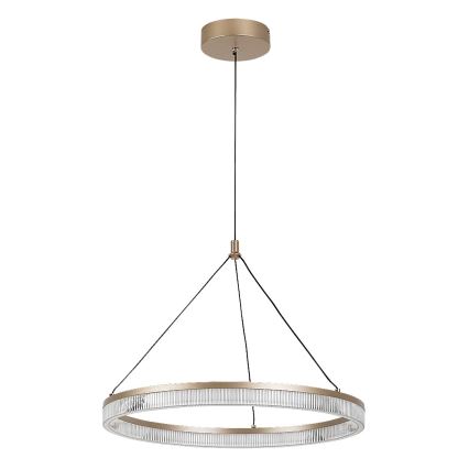 Rabalux - LED полилей на кабел с регулиране на яркостта LED/24W/230V 3000-6500K + дистанционно управление