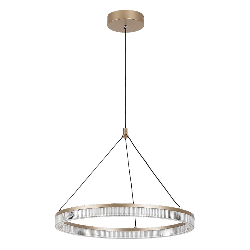 Rabalux - LED полилей на кабел с регулиране на яркостта LED/24W/230V 3000-6500K + дистанционно управление