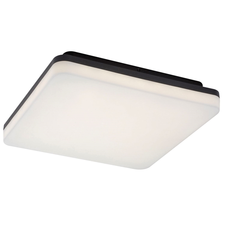 Rabalux - LED Плафон за баня LED/24W/230V IP54