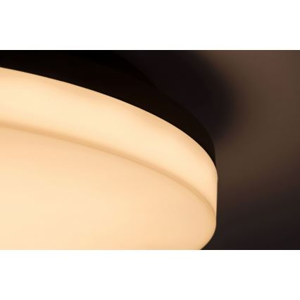 Rabalux - LED Плафон за баня LED/24W/230V IP54