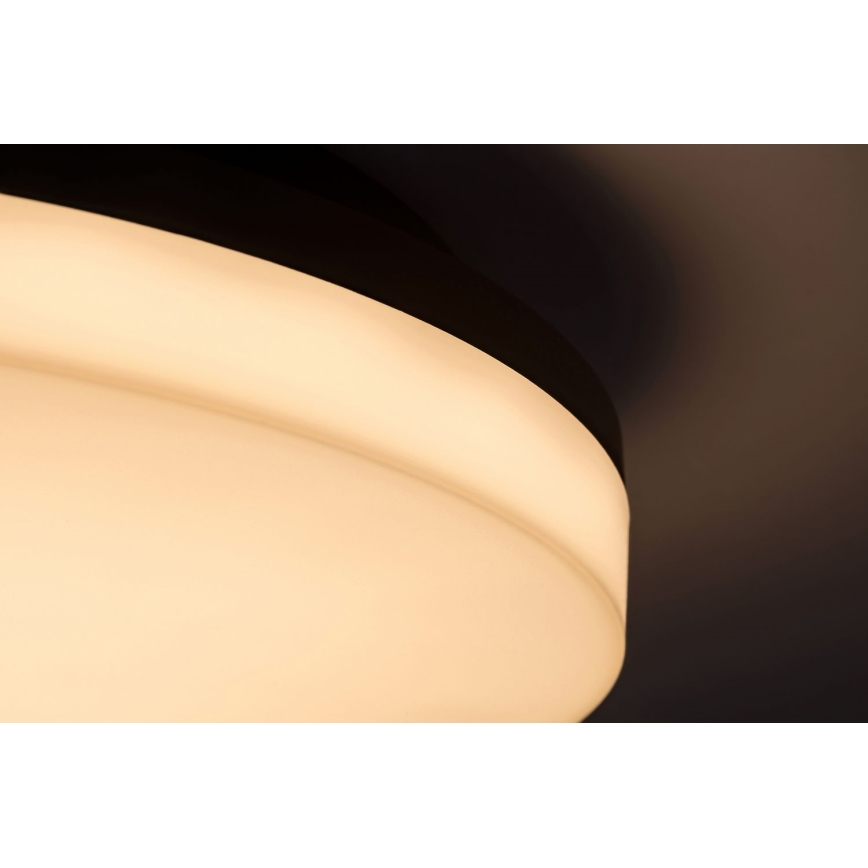 Rabalux - LED Плафон за баня LED/24W/230V IP54