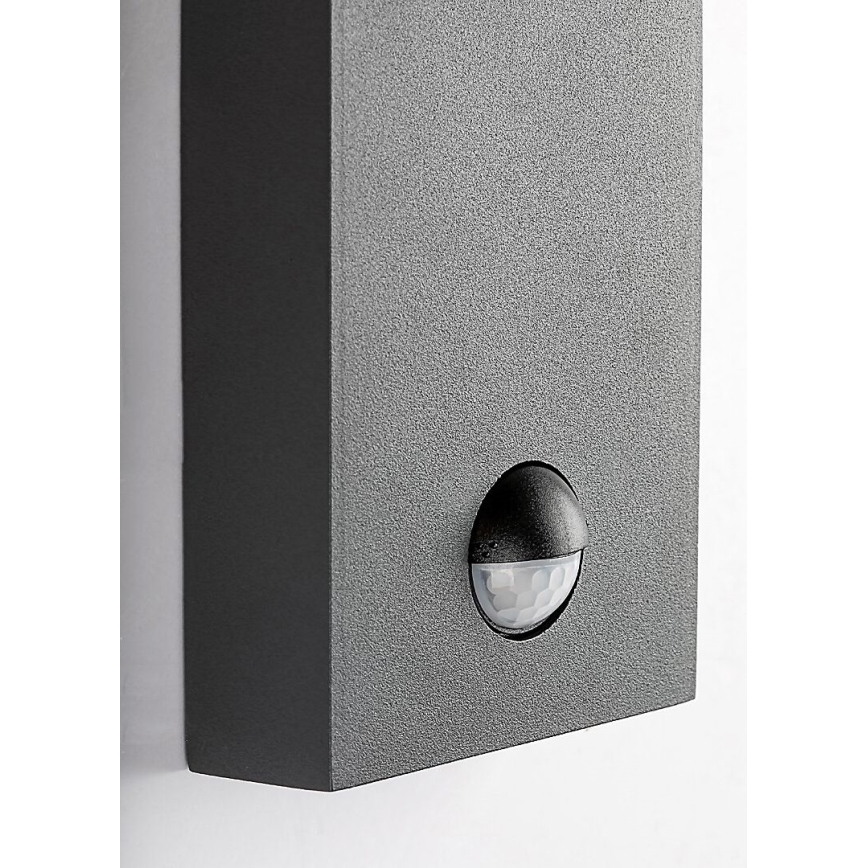 Rabalux - Екстериорен аплик със сензор 1xE27/40W/230V IP44