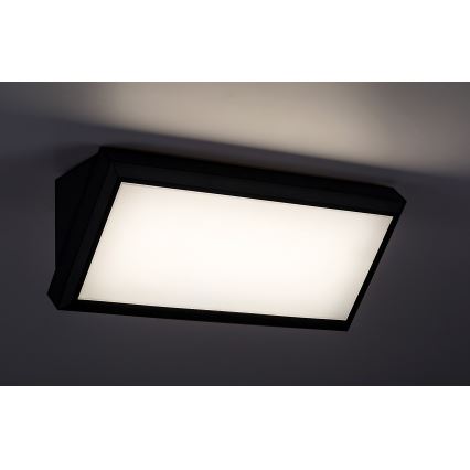 Rabalux - LED Екстериорен аплик LED/12W/230V IP54