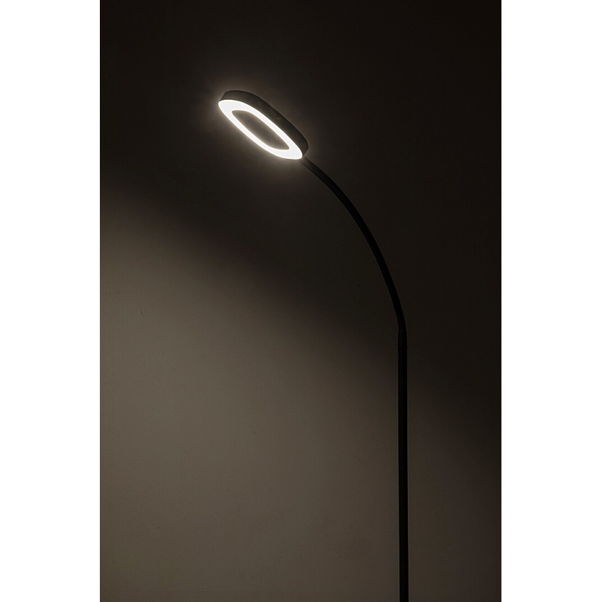 Rabalux - LED Димируем сензорен лампион LED/11W/230V 3000K