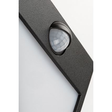 Rabalux -LED Екстериорен аплик със сензор LED/12W/230V IP54