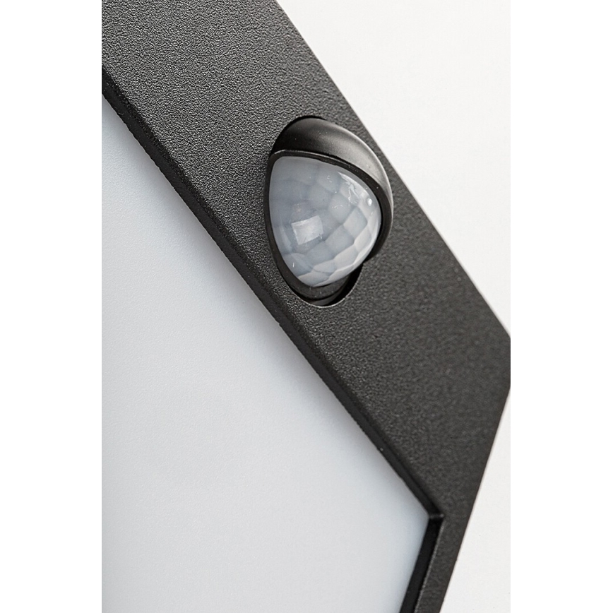 Rabalux -LED Екстериорен аплик със сензор LED/12W/230V IP54