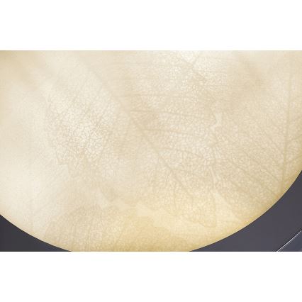 Rabalux - Таванно осветително тяло за баня 2xE27/40W/230V IP44 Ø 30 см