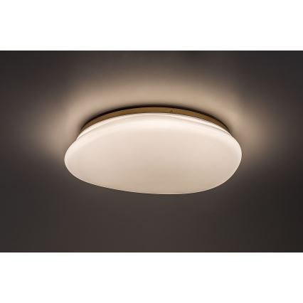 Rabalux - LED плафон за баня LED/24W/230V IP44 Ø 41 cm