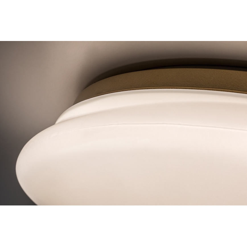 Rabalux - LED плафон за баня LED/24W/230V IP44 Ø 41 cm