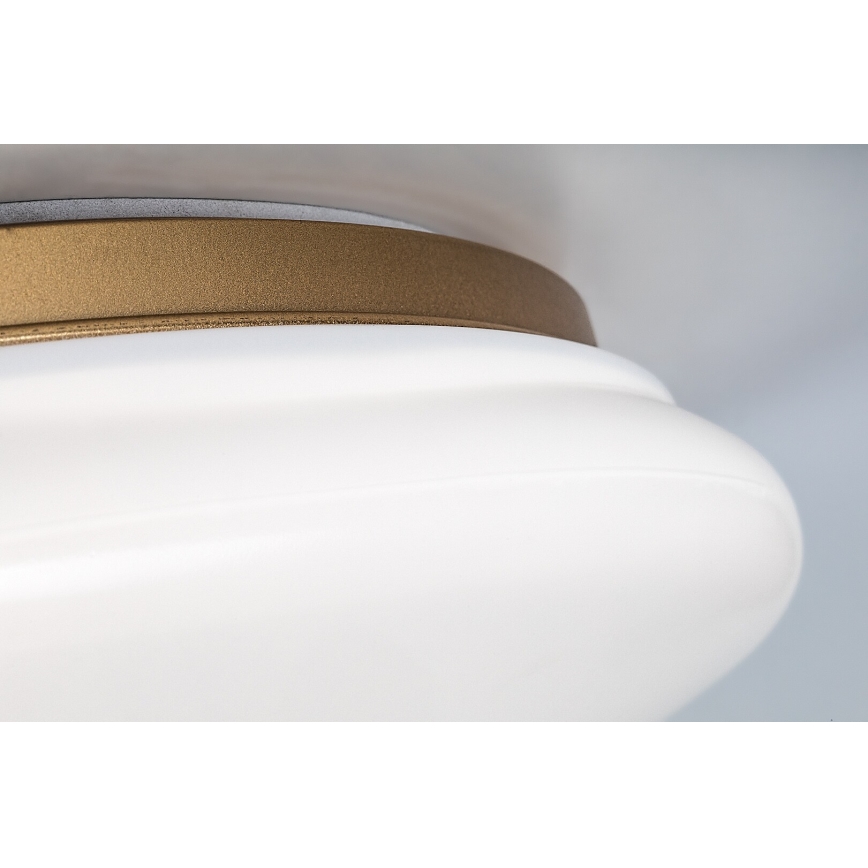 Rabalux - LED плафон за баня LED/24W/230V IP44 Ø 41 cm