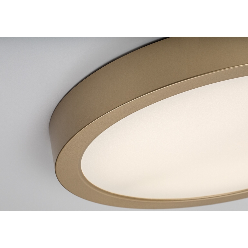 Rabalux - LED таванно осветително тяло за баня, 30 W / 230 V, Ø 30 см, IP44, златно