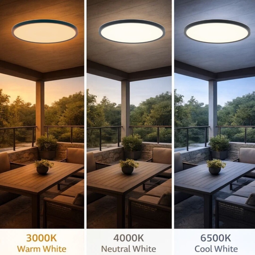 Rabalux - LED таванно осветително тяло за баня LED/24W/230V 3000/4000/6000K pr. 40 cm IP44 черно