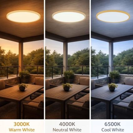 Rabalux - LED таванно осветително тяло за баня LED/24W/230V 3000/4000/6000K Ø 40 см IP44 бежово