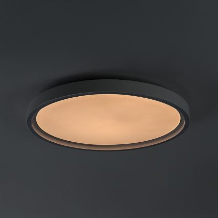 Rabalux - Димируема LED таванна лампа LED/31W/230V IP40 3000-6500K Ø 41,5 см + дистанционно управление