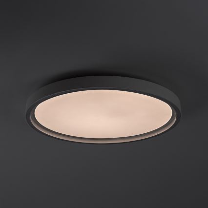 Rabalux - Димируема LED таванна лампа LED/31W/230V IP40 3000-6500K Ø 41,5 см + дистанционно управление