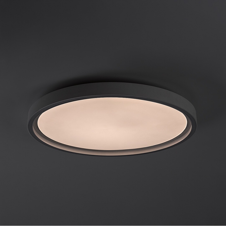 Rabalux - Димируема LED таванна лампа LED/31W/230V IP40 3000-6500K Ø 41,5 см + дистанционно управление