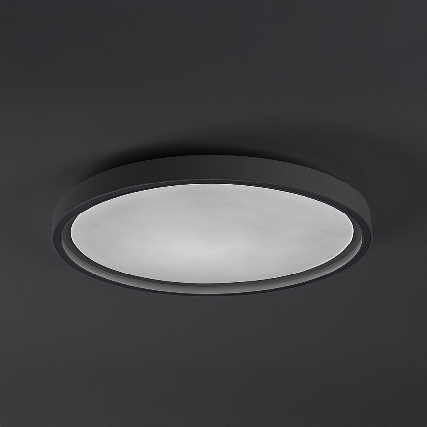 Rabalux - Димируема LED таванна лампа LED/31W/230V IP40 3000-6500K Ø 41,5 см + дистанционно управление
