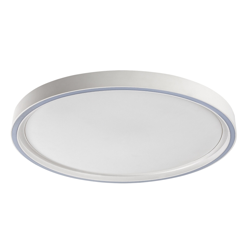 Rabalux - Димируема LED таванна лампа LED/31W/230V IP40 3000-6500K Ø 41,5 см + дистанционно управление