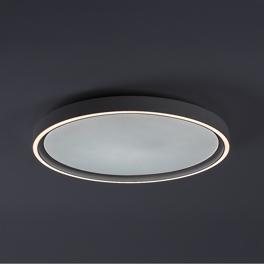 Rabalux - Димируема LED таванна лампа LED/31W/230V IP40 3000-6500K Ø 41,5 см + дистанционно управление