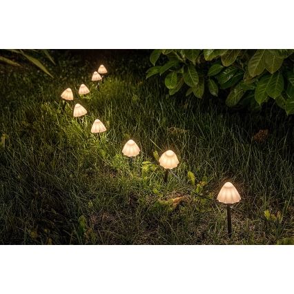 Rabalux - LED Соларна лампа 10xLED/0,2W/1,2V IP44 300 mAh