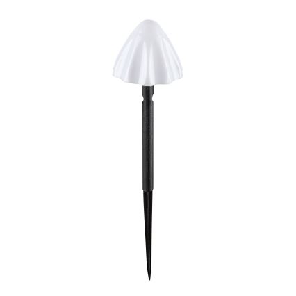 Rabalux - LED Соларна лампа 10xLED/0,2W/1,2V IP44
