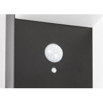 Rabalux - LED Соларна лампа със сензор LED/6W/3,7V IP44